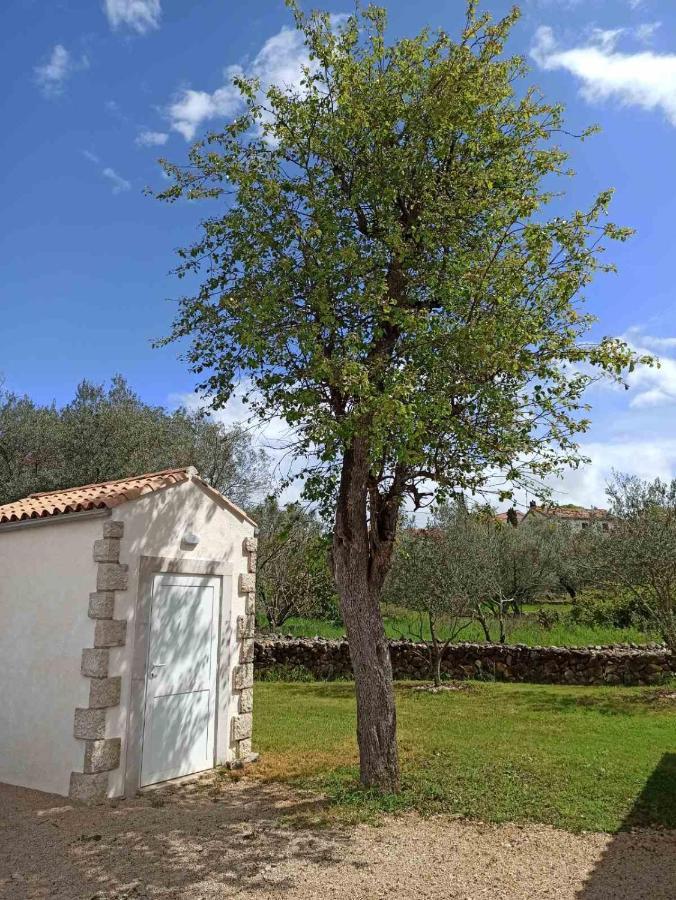 Holiday House Vela Vrta Sveti Ivan Dobrinjski Luaran gambar